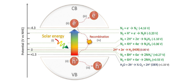 Schematic energy diagram of light-driven nitrogen fixation for green ammonia production